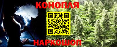 стафф Малгобек