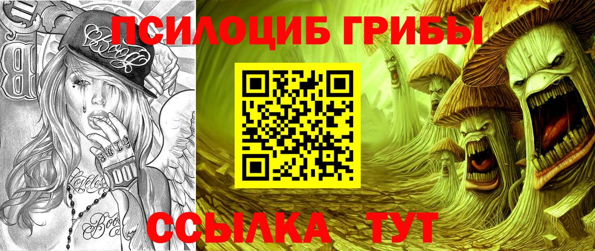 Псилоцибиновые грибы GOLDEN TEACHER Чусовой